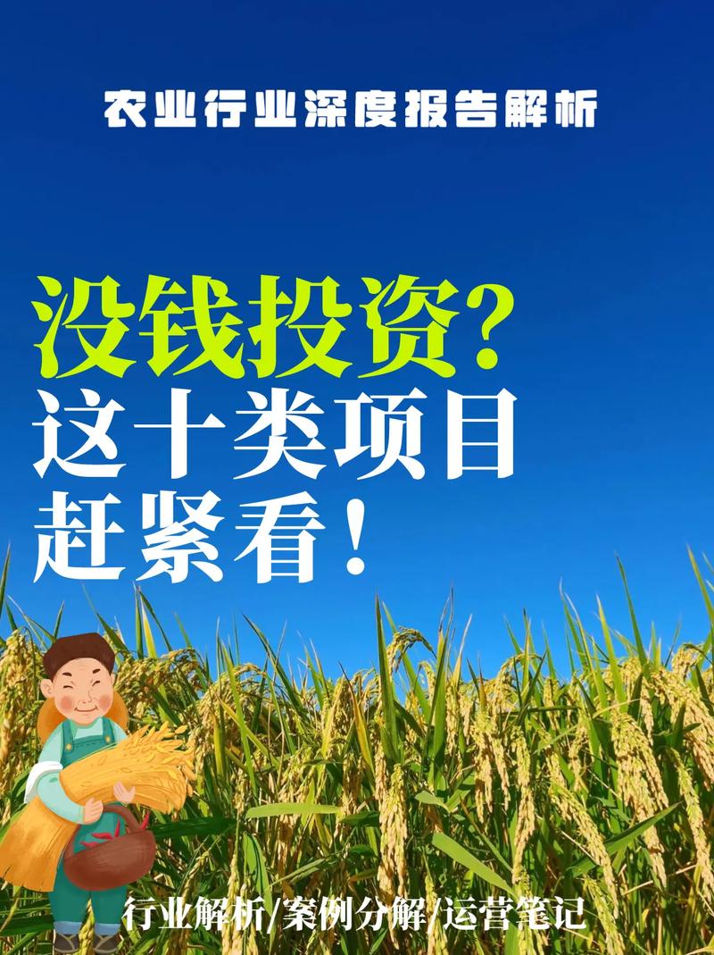 农村小本投资项目有哪些?-图1 农村小本投资项目有哪些?-图1