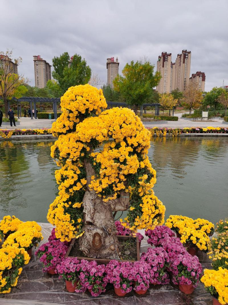 山西大同御河公园有哪些必打卡景点？-图1