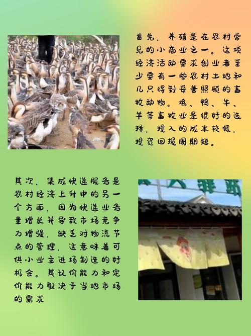 小本投资有哪些靠谱项目？-图2