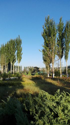 怀仁县天气如何？-图2