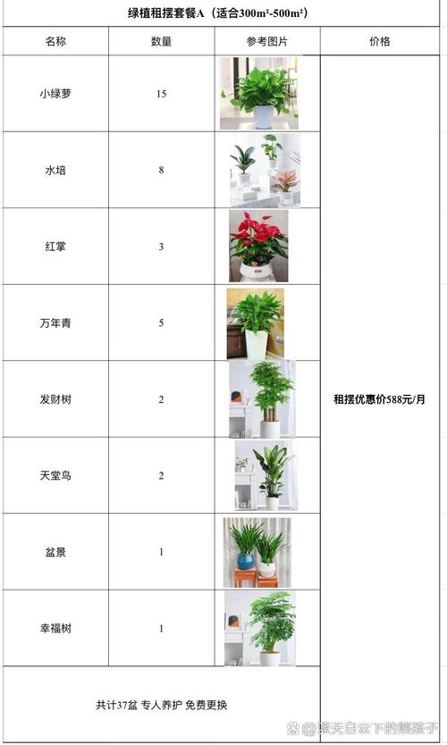 无土栽培投资多少？成本构成是怎样的？-图1