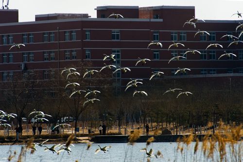 山西大学商务学院怎么样-图2