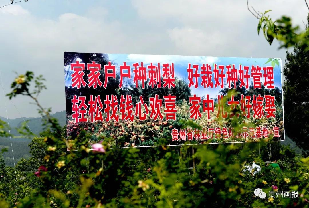 0元投资真能致富？这商机靠不靠谱？-图3