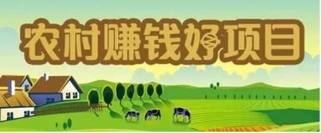 明年哪些投资项目能致富?-图3 明年哪些投资项目能致富?-图3