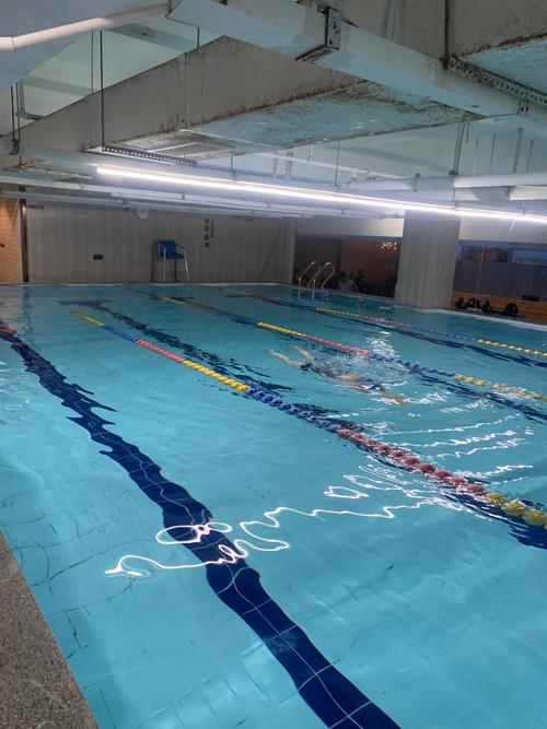 山西财大游泳馆培训班何时开班？-图2