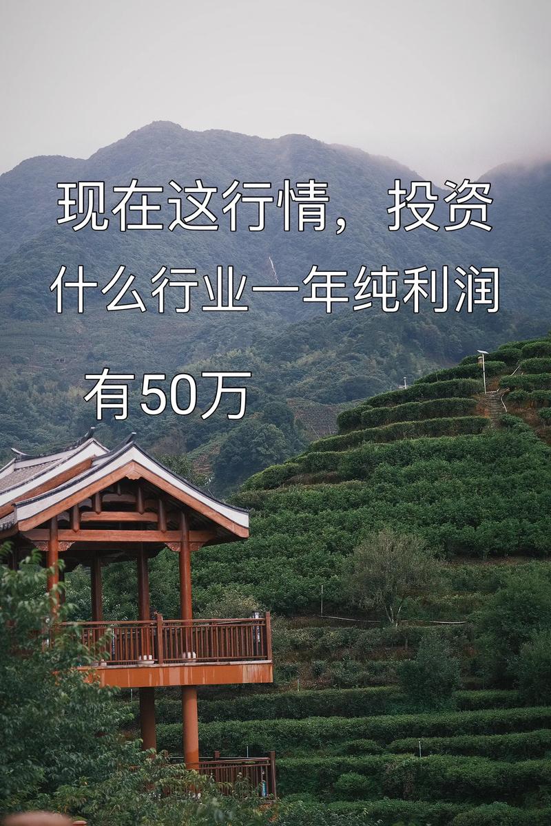 今年投资创业新开店，哪些行业更值得入局？-图3