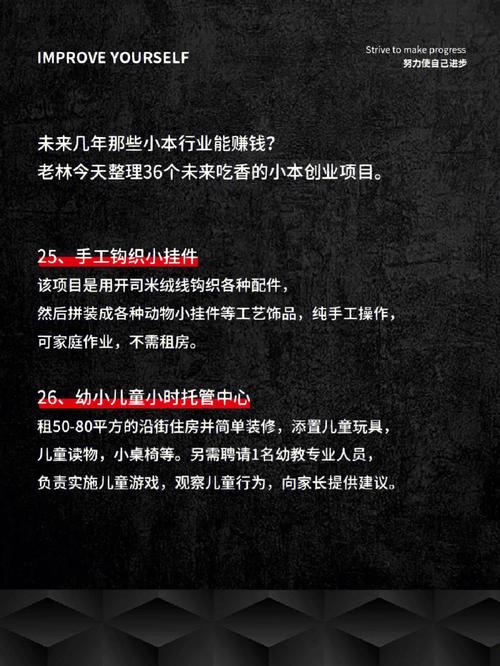 来年小本投资,哪些项目能稳挣?-图2 来年小本投资,哪些项目能稳挣?-图2
