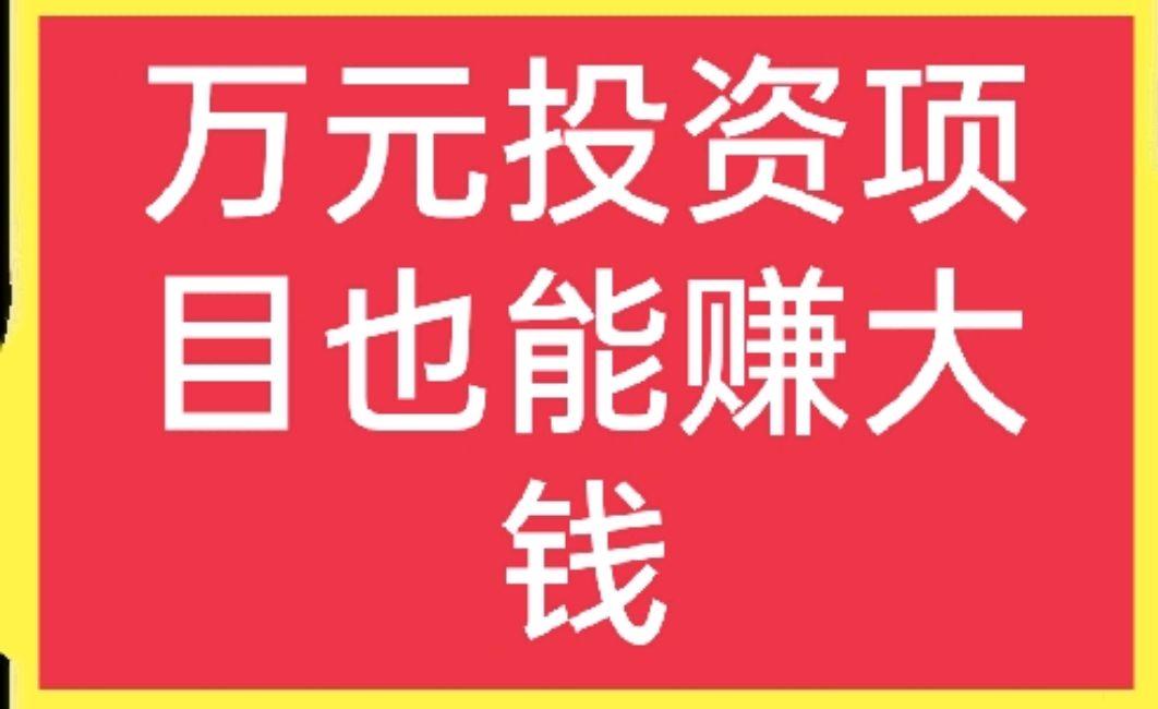 哪些投资项目能快速致富?-图2 哪些投资项目能快速致富?-图2