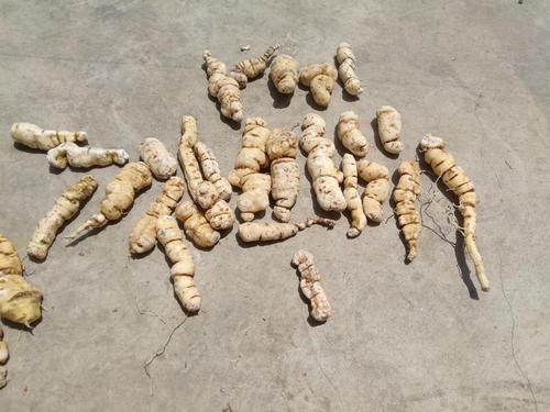 山西侯马有哪些特色特产？-图1