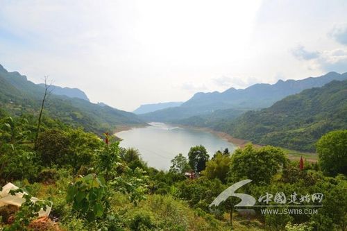 夏天投资哪个项目真能致富？-图3