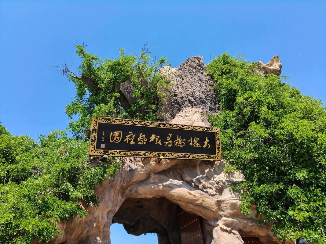 山西大槐树门票多少钱？-图3