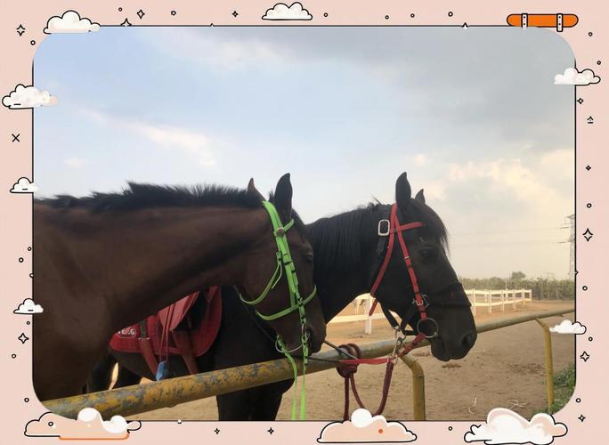 太原哪里有骑马场？推荐几家靠谱的！-图1