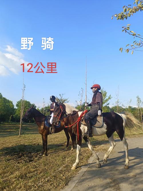 太原哪里有骑马场？推荐几家靠谱的！-图2