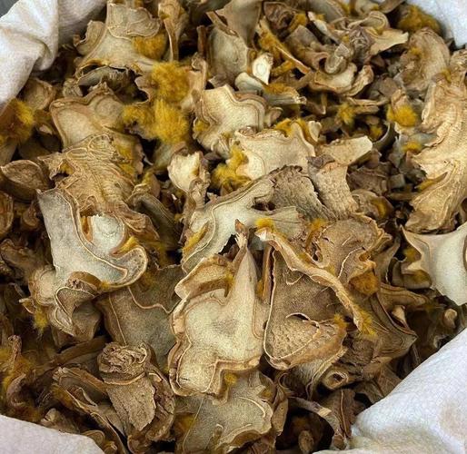 山西保德有哪些特色中药材？-图2