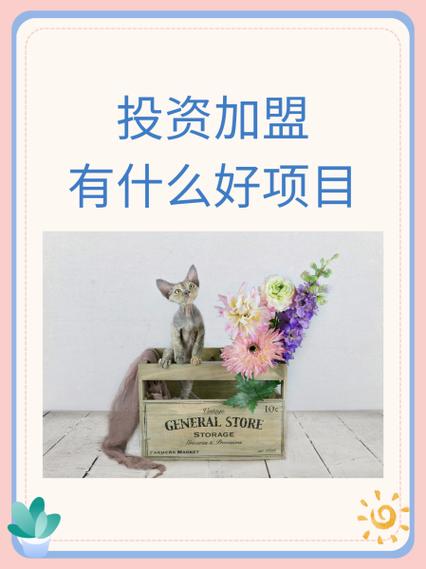 今年有哪些靠谱的投资好项目？-图3