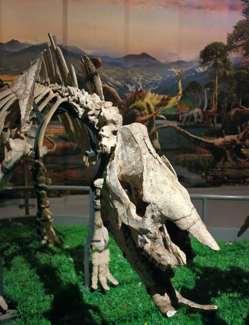 山西哪里有恐龙博物馆？-图1