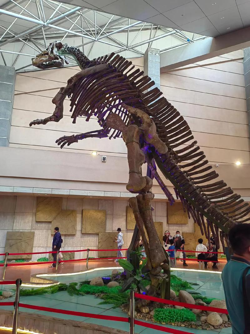 山西哪里有恐龙博物馆？-图3