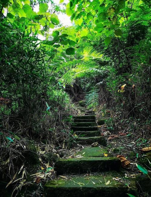 乐山西坝有哪些必打卡的游玩好去处？-图2