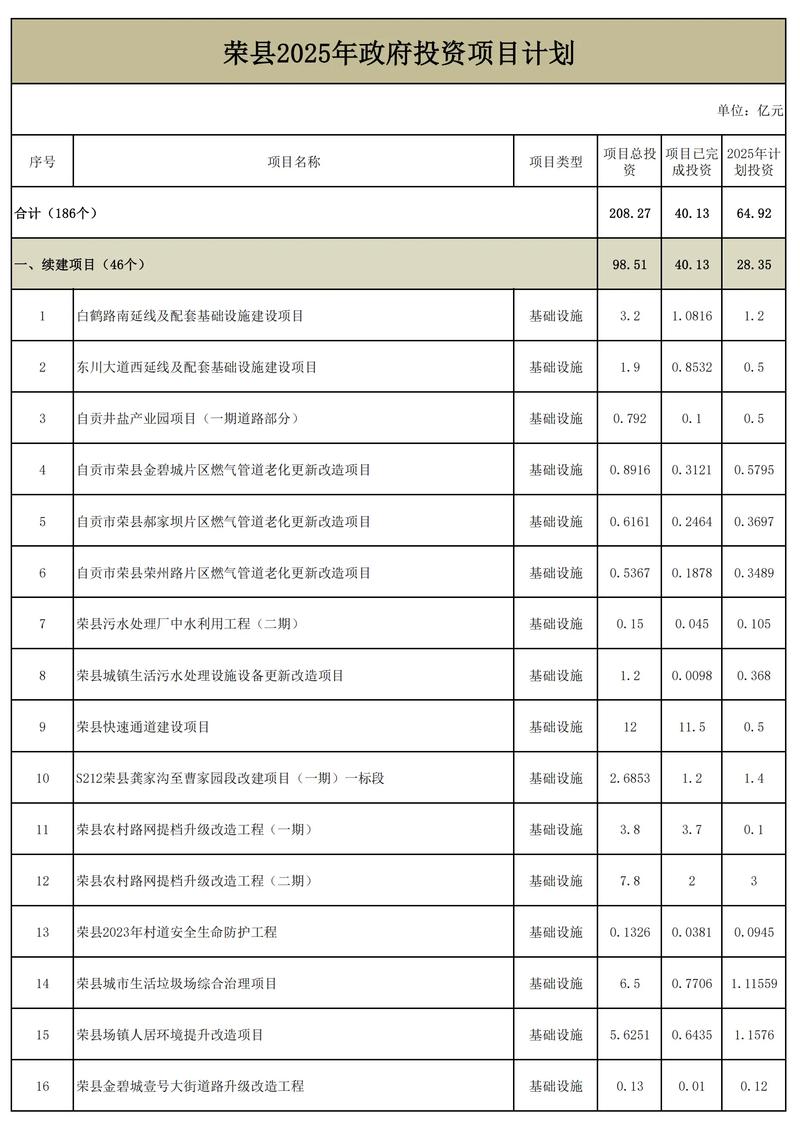 2025年投资的好项目-图1