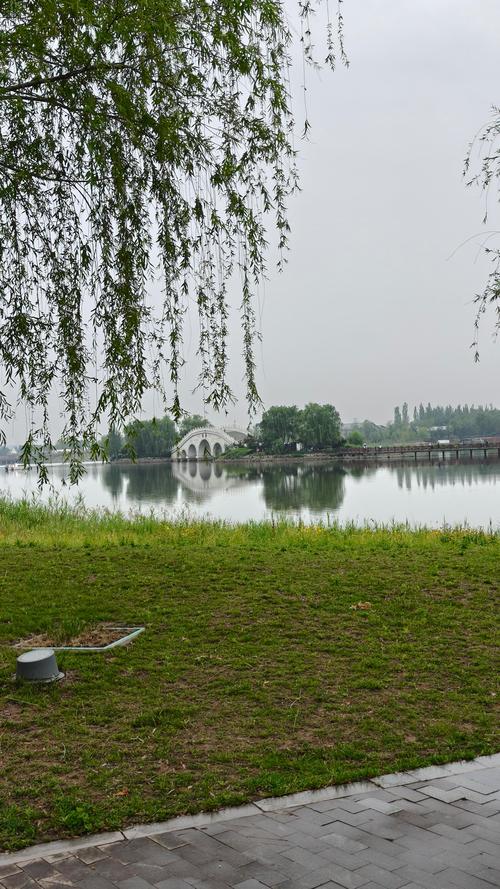 芜湖三山西湖湿地公园有何独特魅力？-图2