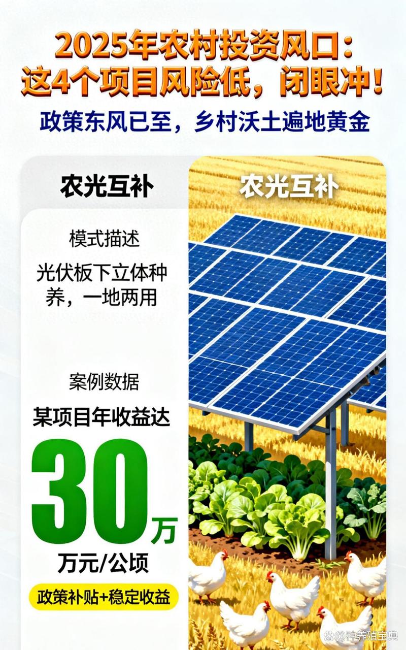 2025农村投资好项目-图1