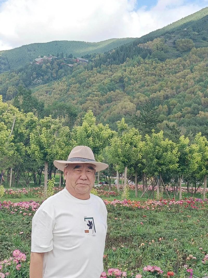 山西省五台山在哪个市-图2