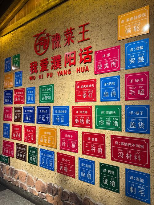 餐饮先投稳，其他再投准？-图2