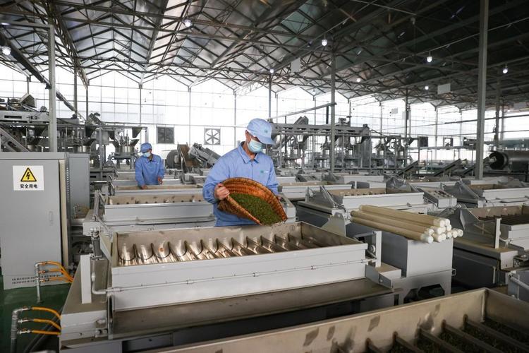 投资茶叶投资那间茶厂-图1 投资茶叶投资那间茶厂-图1