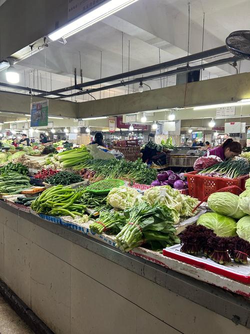 山西大同蔬菜批发市场有何特色？-图1