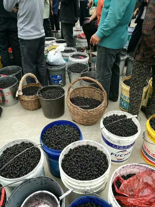 山西帅源饮品有限公司有何特色或优势？-图2