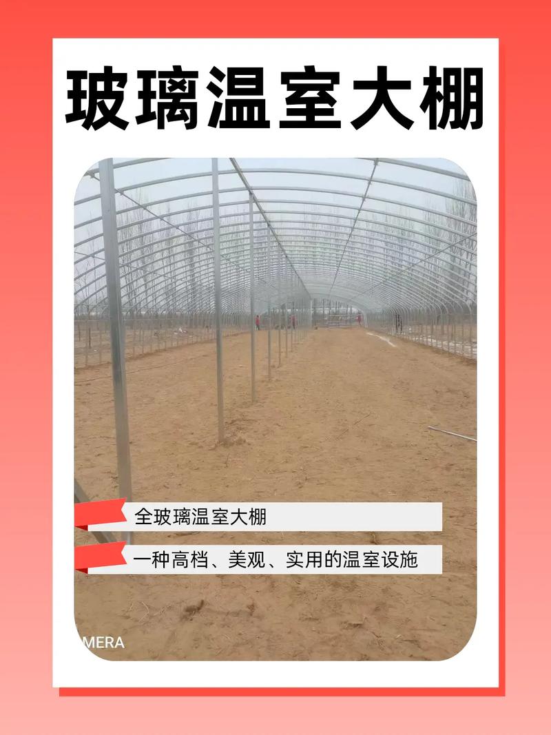 种大棚一亩投资到底要多少？-图2