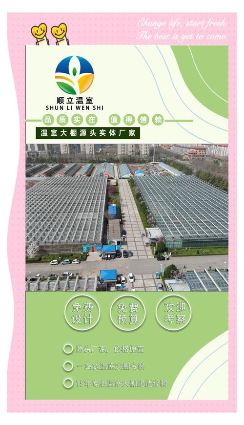 种大棚一亩投资到底要多少？-图3