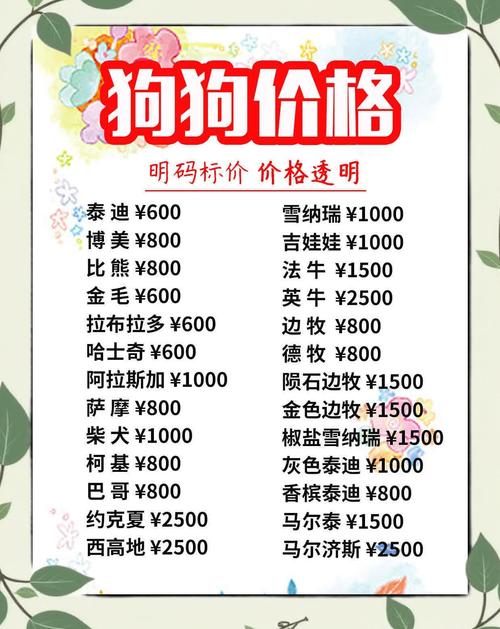 开宠物店到底要投多少钱？-图2