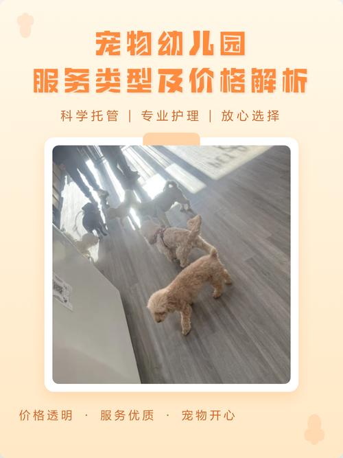 宠物幼儿园投资要多少？-图1
