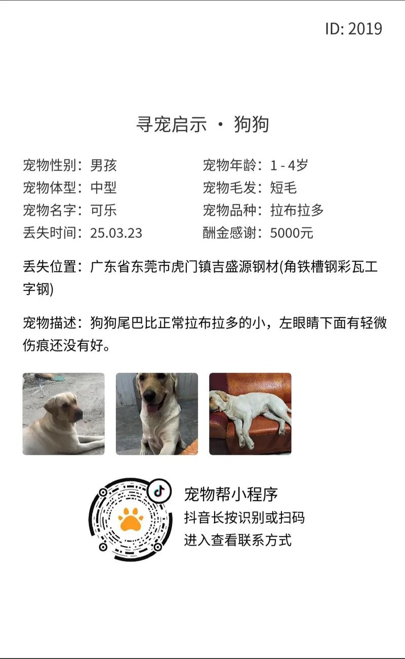 宠物幼儿园投资要多少？-图2