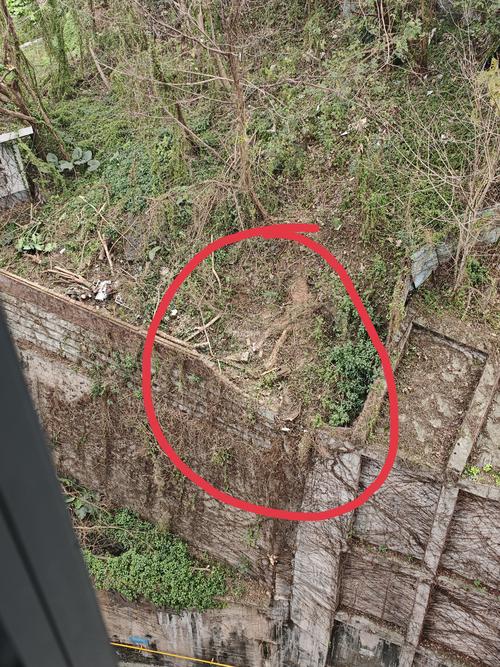 山西高空坠物2025频发，为何屡禁不止？-图2