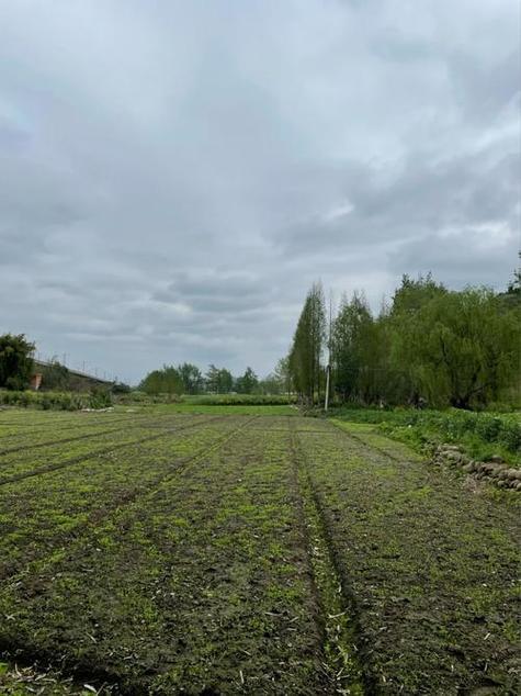 山西运城盐湖区北相镇有何特色或故事?-图1 山西运城盐湖区北相镇有何特色或故事?-图1