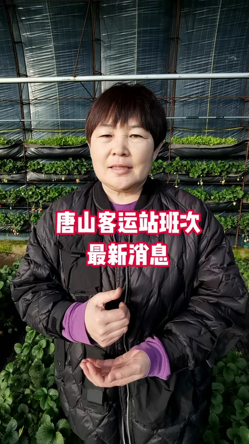 唐山西站到滦南汽车怎么坐？-图2