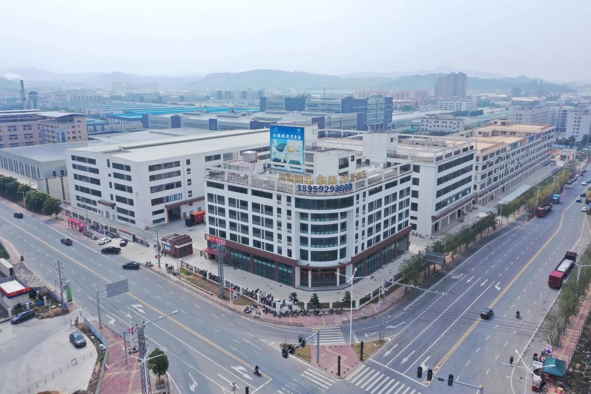 广西芝芝投资有限公司背景如何？-图1