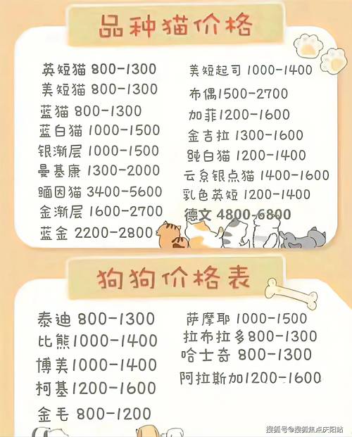 开宠物店要投多少钱？-图2