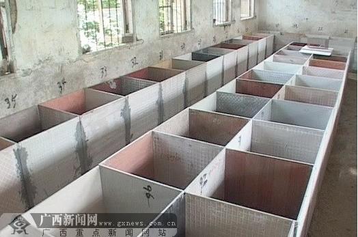 养竹鼠投资成本要多少？-图2