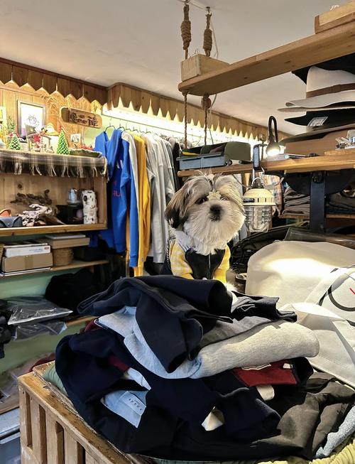 宠物服装店投资多少钱-图2