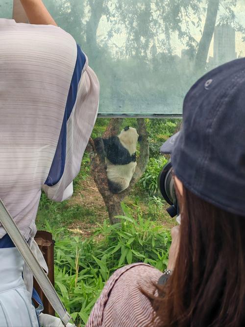 游乐场加盟投资具体要花多少钱？-图2