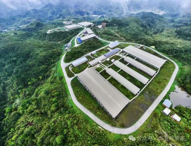 养殖农场投资门槛到底有多高？-图3