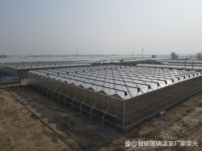 无土栽培成本投入究竟有多高？-图2