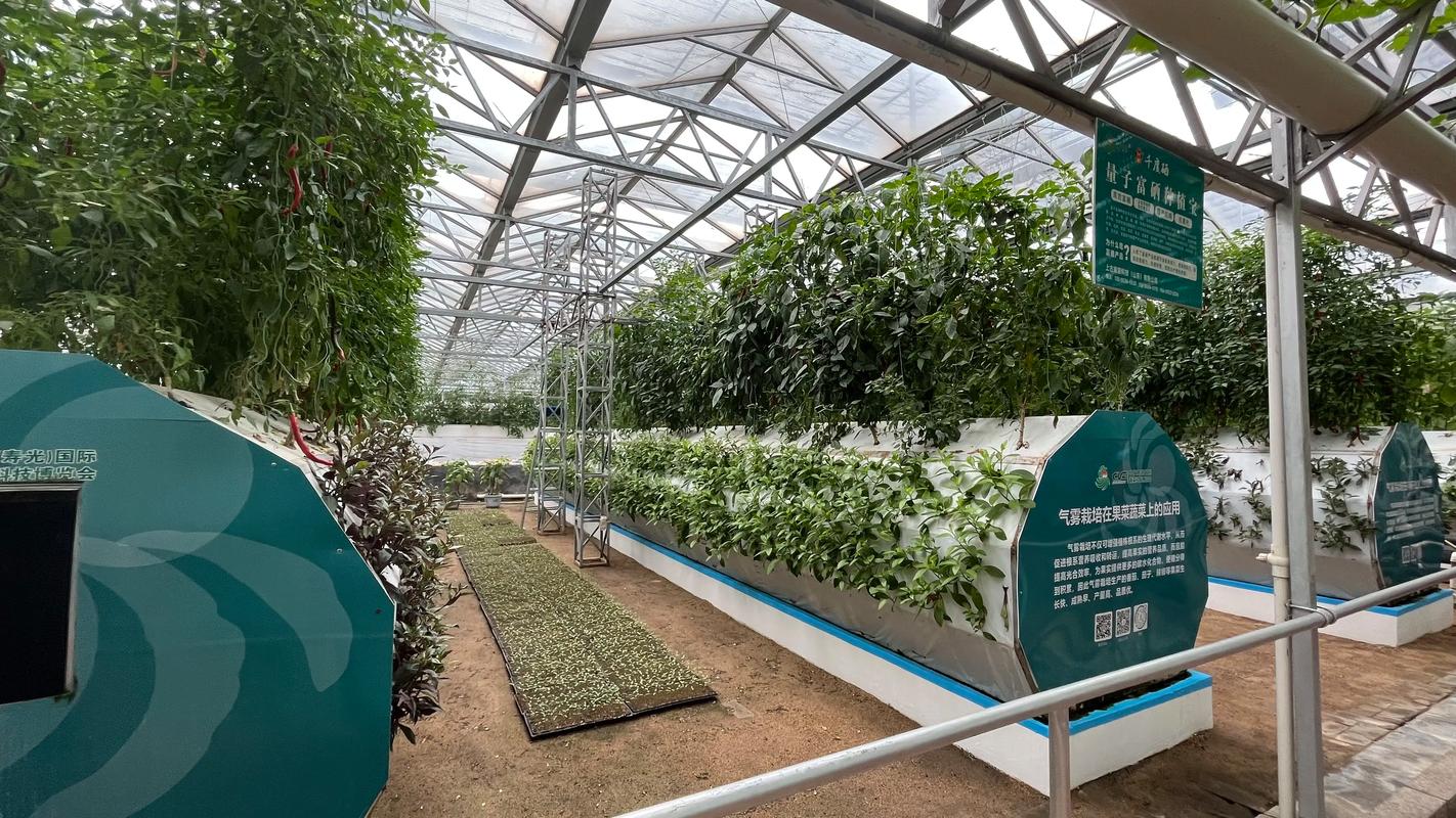 无土栽培设备投资成本是多少？-图1