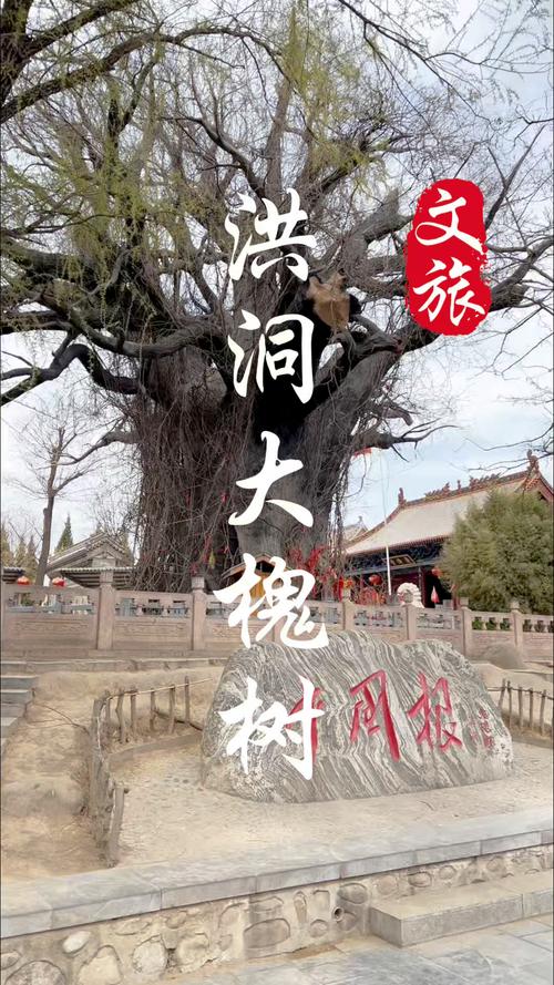 洪洞大槐树，为何是山西根祖魂？-图2