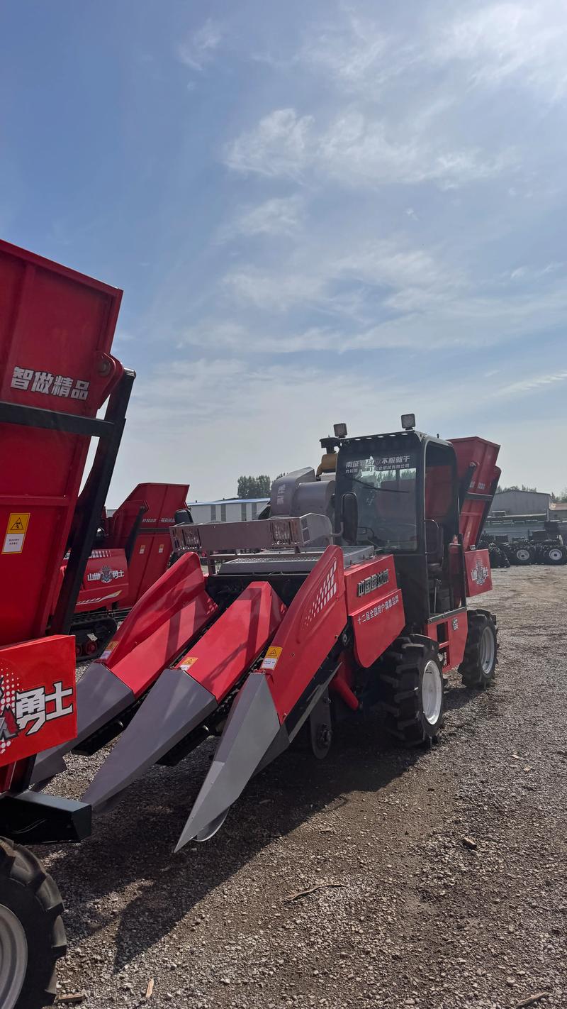 山西天镇2025规划有何新亮点？-图2