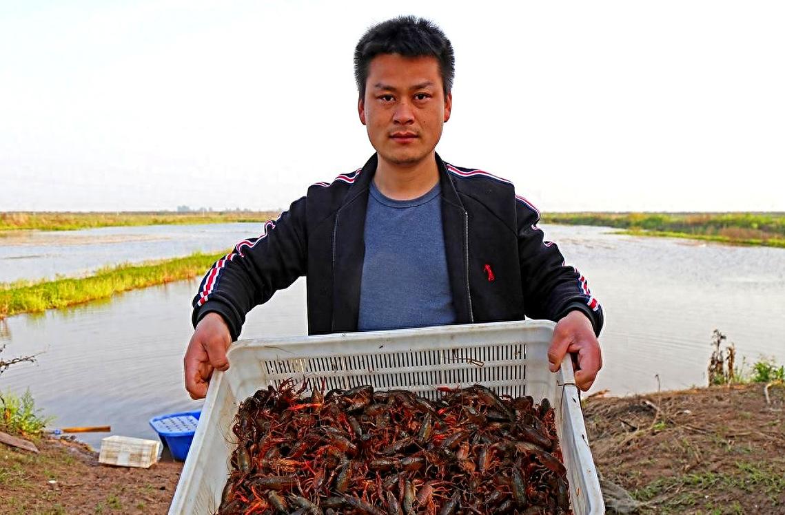 养殖一亩龙虾投资成本是多少？-图2