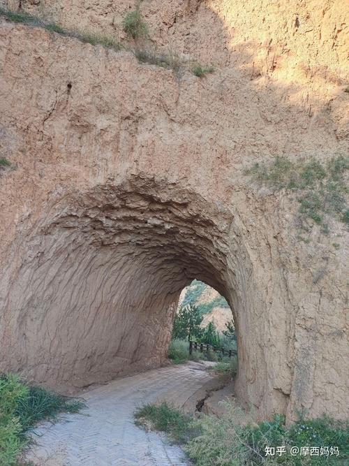 山西旅游景点老人免费-图1